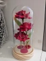 Светещи вечни рози , снимка 1