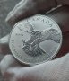 Инвестиционна сребърна монета 1 унция 5 Dollars - Elizabeth II Peregrine Falcon, снимка 1 - Нумизматика и бонистика - 43229141
