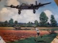 Английски декоративни чинии от серията Heroes of the Sky, снимка 3