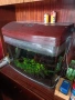 Аквариум 80 литра, снимка 2