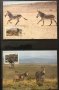 Namibia 1991 - 4 броя Карти Максимум - WWF, снимка 2