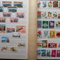 Колекция пощенски марки около 250 бр., снимка 6 - Филателия - 33278728