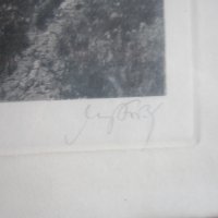 Стара картина офорт гравюра подписана 5, снимка 5 - Картини - 36922861
