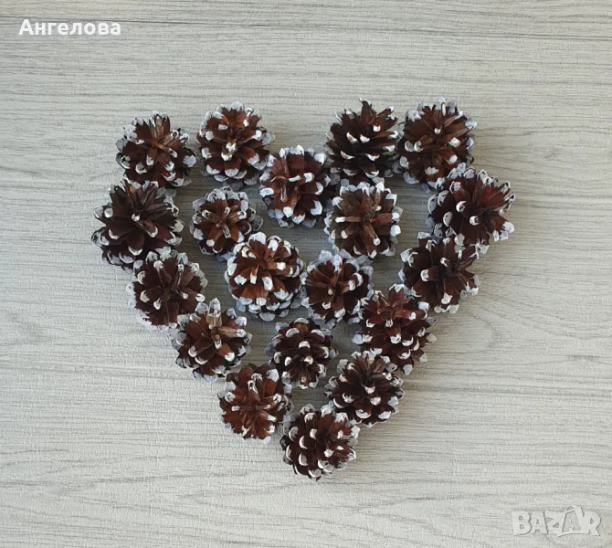 Шишарки - заскрежени, 0.40ст., снимка 1