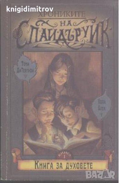 Хрониките на Спайдъруик. Книга 1: Книга за духовете -Тони ди Терлизи, Холи Блек, снимка 1