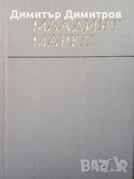 Младият Маркс Н. И. Лапин, снимка 1