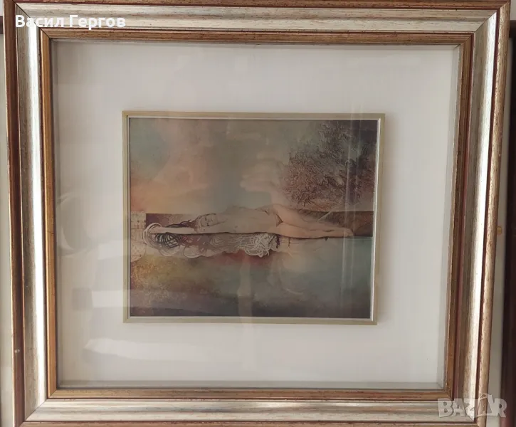 Картина върху сребро, Габриел Мейринг, снимка 1