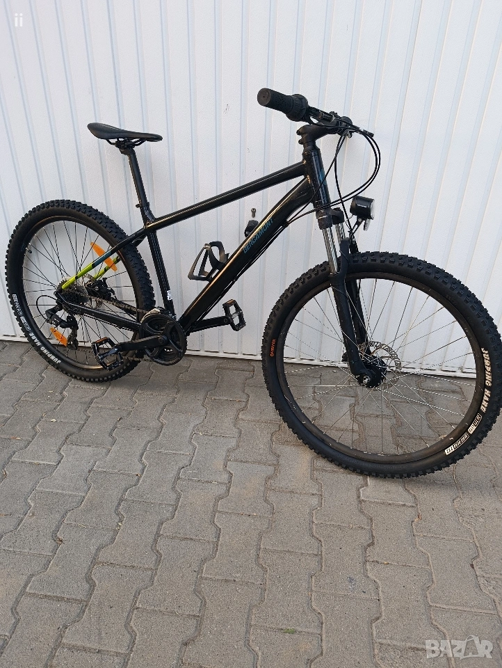 Bergamot Revox 2, снимка 1