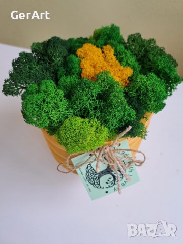 Кашпа със скандинавски мъх, снимка 4 - Декорация за дома - 37545080