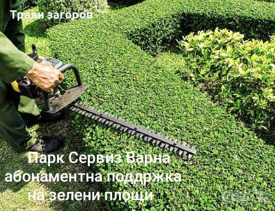 косене на трева, рязане(кастрене) на дървета,почистване на терени, снимка 4 - Други почистващи услуги - 53015352