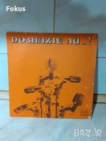 Стара голяма грамофонна плоча, снимка 2 - Антикварни и старинни предмети - 53390756