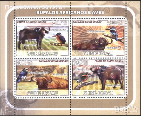 Чисти марки в малък лист Фауна Биволи 2008 от Гвинея-Биссау