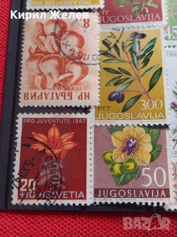 Пощенски марки серия ЦВЕТЯ поща България, Югославия редки за КОЛЕКЦИЯ 22659, снимка 5 - Филателия - 40316538