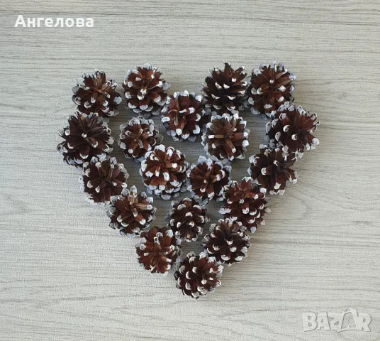 Шишарки - заскрежени, 0.40ст.