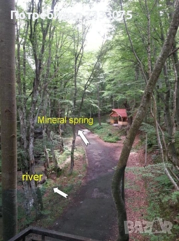 Продавам вила Здравец в КК Върбица, обл. Шумен, снимка 3 - Вили - 53530526