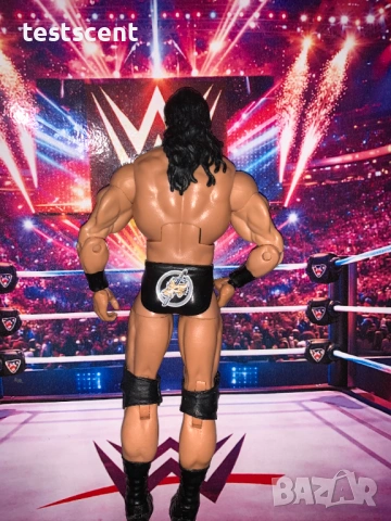 WWE фигурки на Drew McIntyre Дрю Макинтайър elite Basic и т.н., снимка 11 - Фигурки - 53405250