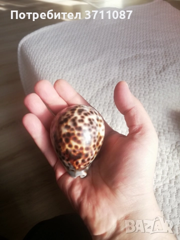 Антични предмети и сувенири, снимка 12 - Антикварни и старинни предмети - 52800543