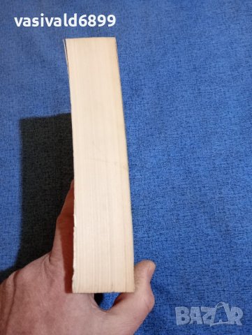 Дейвид Вайс - Възвишено и земно , снимка 5 - Художествена литература - 43981648