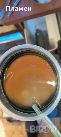 артемия за люпене , снимка 2 - Рибки - 47024485