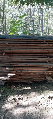 Трупи и дъски от Пауловния , снимка 5 - Строителни материали - 38438130