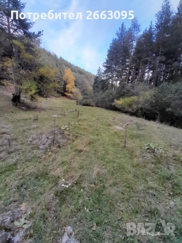 Парцел с. Добърско , снимка 2 - Парцели - 53279125