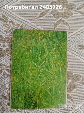 Ловни птици   Георги  Оцетов, снимка 2 - Други - 51148280