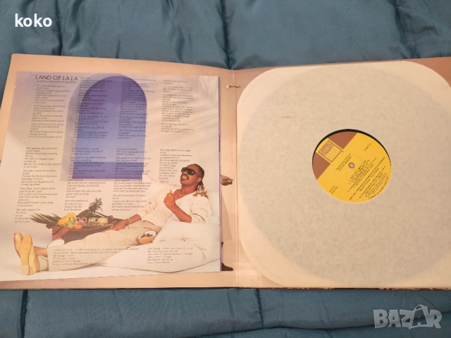 Музикални плочи Peter Tosh Stevie Wonder , снимка 8 - Грамофонни плочи - 52933716