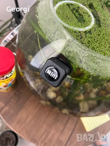 Четка за аквариум, снимка 6 - Аквариуми - 47589678