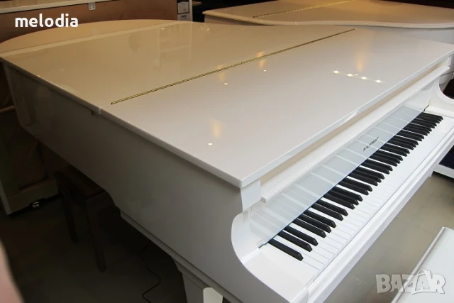 Нов роял W.HOFFMANN - T177 с дигитална свързаност C.Bechstein Connect, снимка 6 - Пиана - 50560845