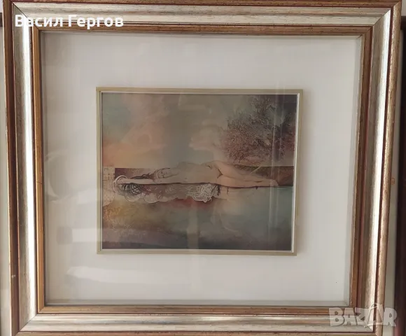 Картина върху сребро, Габриел Мейринг