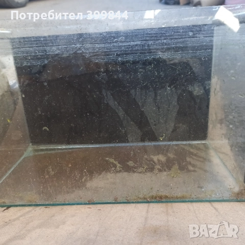 аквариум, снимка 2 - Аквариуми - 52212890