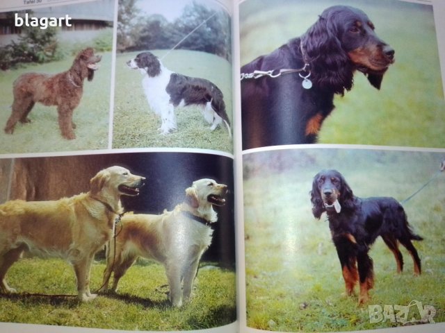 "Енциклопедия на кучето"-Германия, снимка 4 - Специализирана литература - 33458448