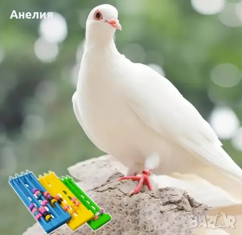 Стойка за пръстени на птици, снимка 2 - За птици - 49619010