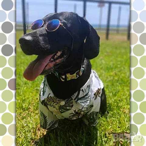 Ризки за кучета и котки. Дрехи за кучета. Блузка за куче. Кучешки дрехи. Ризка за куче , снимка 4 - За кучета - 38171594