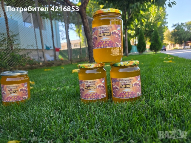 Пчелен мед реколта 2025г., снимка 3 - За пчели - 51548700