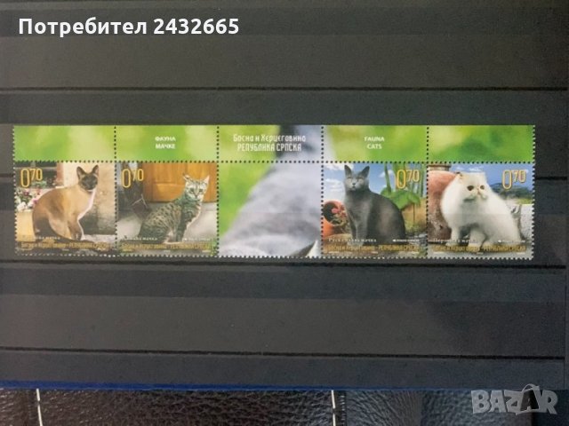 541. Босна и Х.( Реп.Сръбска ) 2009 = “ Фауна. Котки ”,**,MNH 