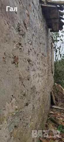 Къща с двор 2718кв.м в регулация в село Могилище на 10км. от плажа 2718кв.м. , снимка 3 - Парцели - 50104229