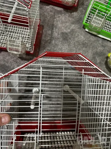 Клетки за птици , снимка 3 - За птици - 49653085