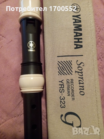 Блок флейта сопрано Recorder, снимка 2 - Духови инструменти - 52615970