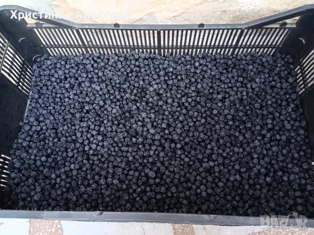 Сушена арония, снимка 2 - Домашни продукти - 52257752