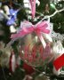 Коледни персонализирани топки, снимка 1 - Коледни подаръци - 43317883