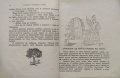 Соколъ - юнашка птица. Приказки и разкази Димитъръ Симидовъ, снимка 3