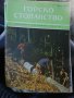 Горско стопанство - списание 1965 година, снимка 3