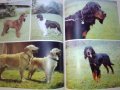 "Енциклопедия на кучето"-Германия, снимка 4