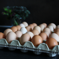 Домашни Яйца 15лв кора, снимка 5 - други­ - 36397255