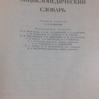 Енциклопедия "Демографический энциклопедический словарь" 1985, снимка 2 - Енциклопедии, справочници - 43913498