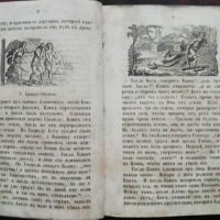 Библейская история /1859/, снимка 3 - Антикварни и старинни предмети - 36430795