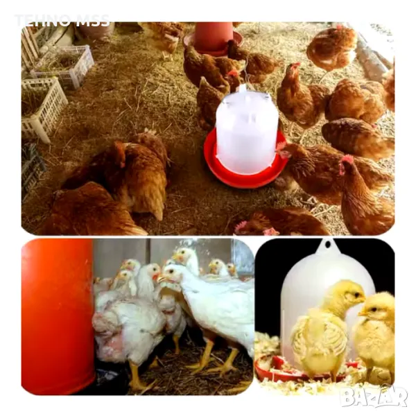 Автоматична поилка за птици W11 (К-КТ / 10 БР), снимка 1