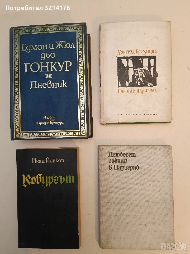 Някога в Цариград. Българска хроника - Христо Д. Бръзицов (1966), снимка 1