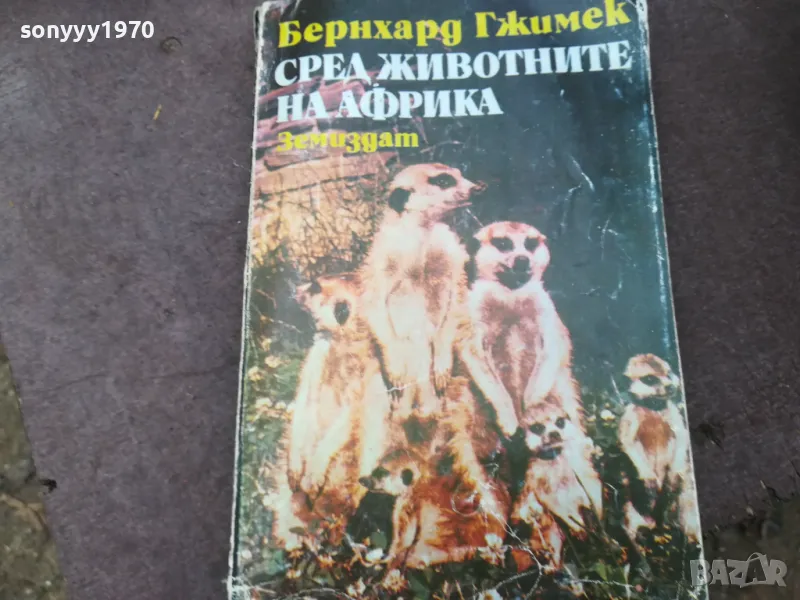 СРЕД ЖИВОТНИТЕ НА АФРИКА 1102250612, снимка 1